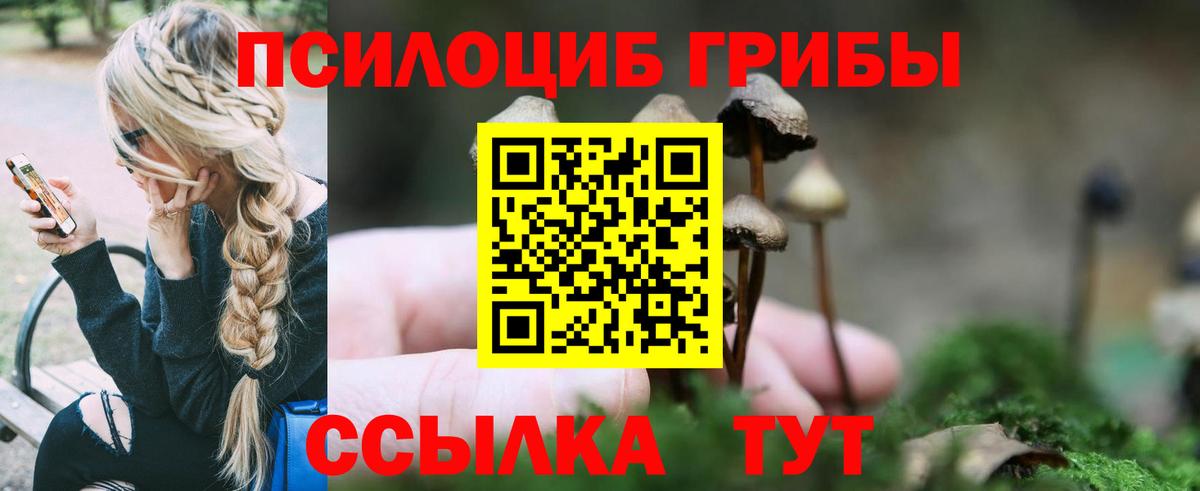 Галлюциногенные грибы Psilocybe Крымск
